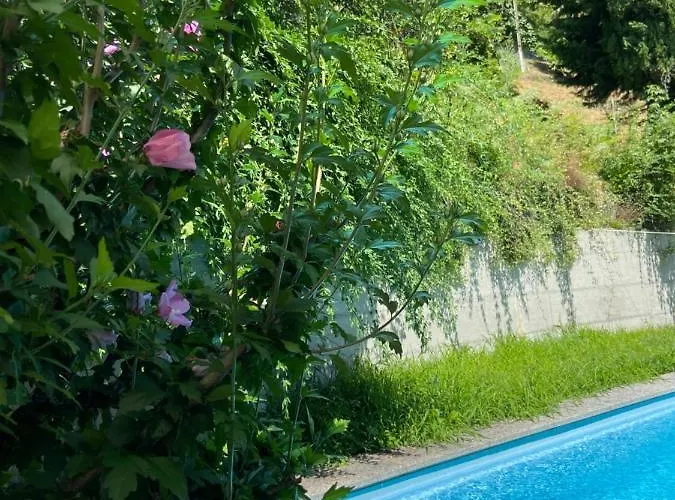 Sete Fontes - Nest Appartement *