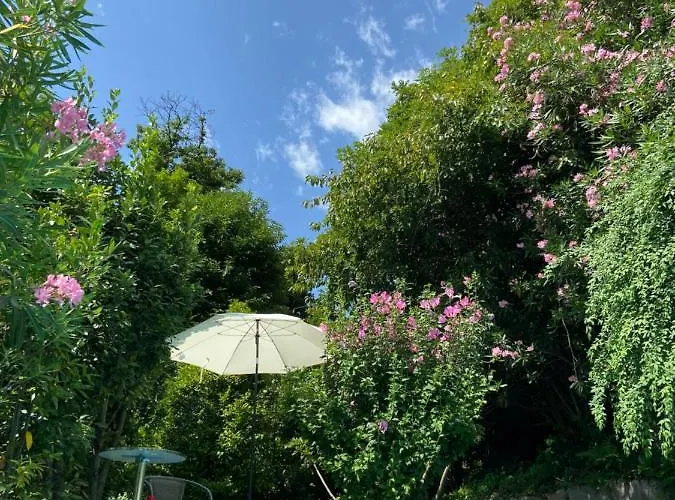 Appartement Sete Fontes - Nest *